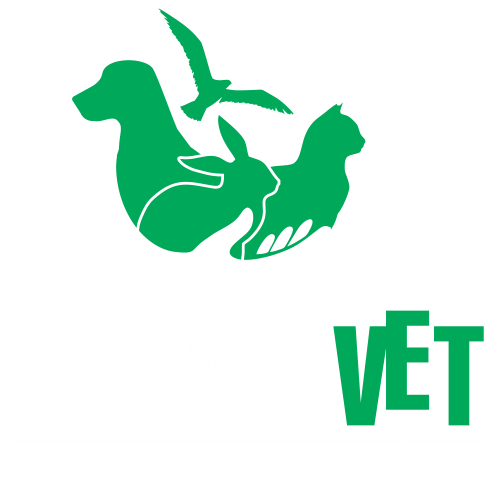 PlanetVet